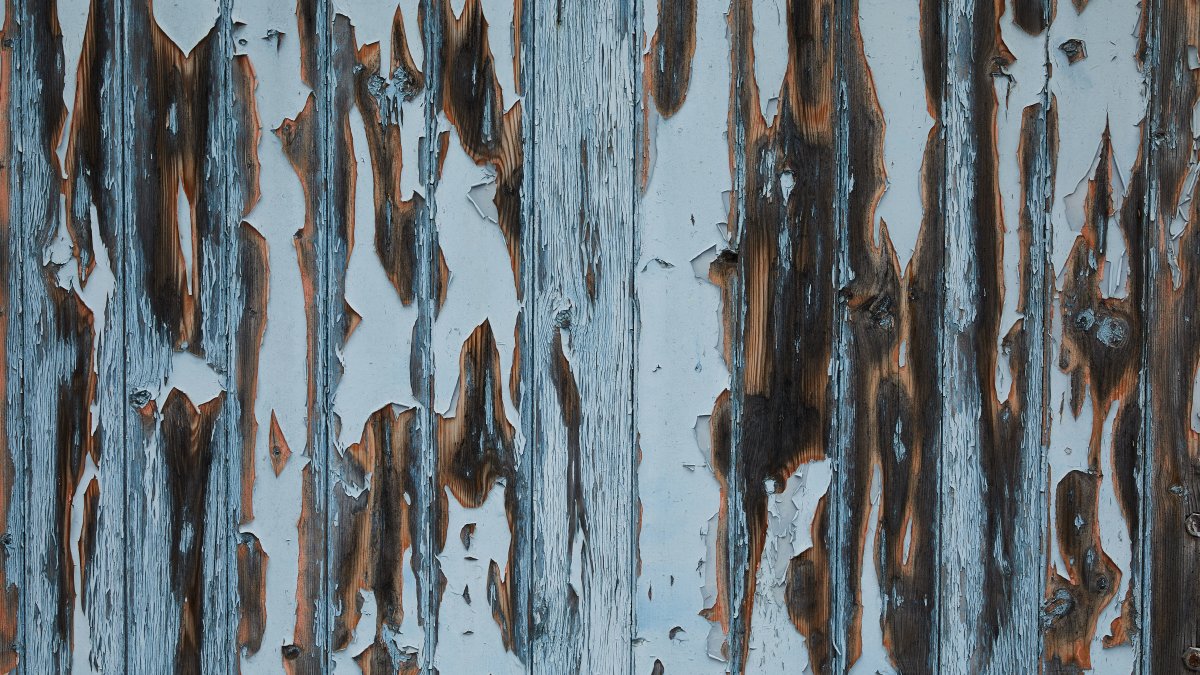 Close-up of aged timber wall with peeling white paint showing damage and texture